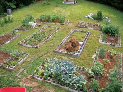 Create Easy, Low-Cost Raised Garden Beds Image